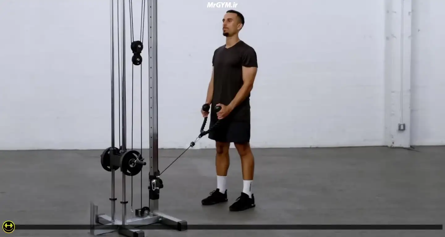آموزش حرکت جلو بازو چکشی با طناب سیم کش (Cable Rope Hammer Curls)