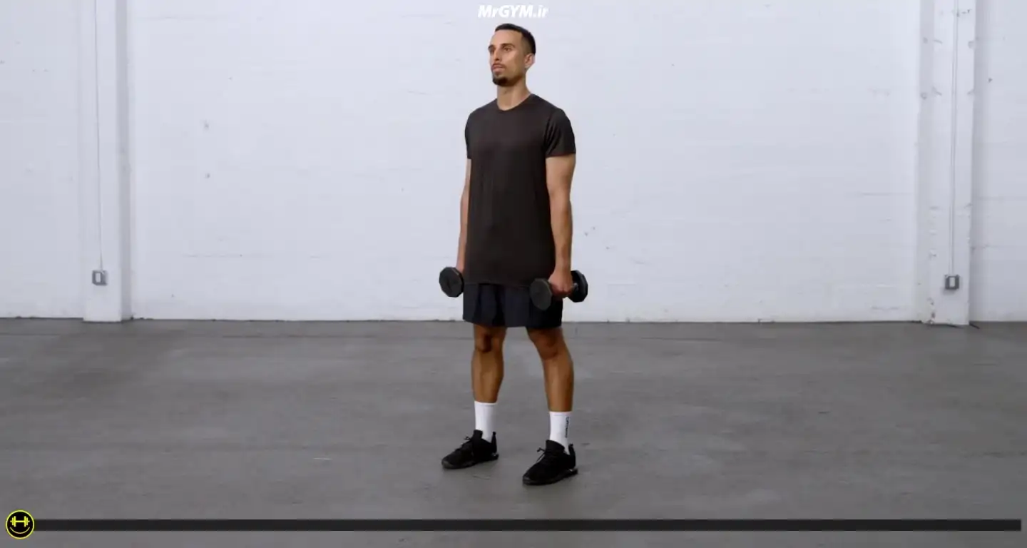 آموزش حرکت جلو بازو چکشی با دمبل و مکث (Dumbbell Hammer Pause Curl)