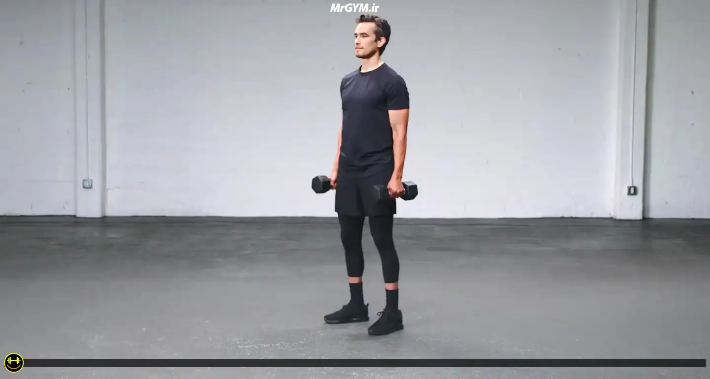 آموزش حرکت جلو بازو نو مانی با دمبل (Dumbbell No Money Curls)