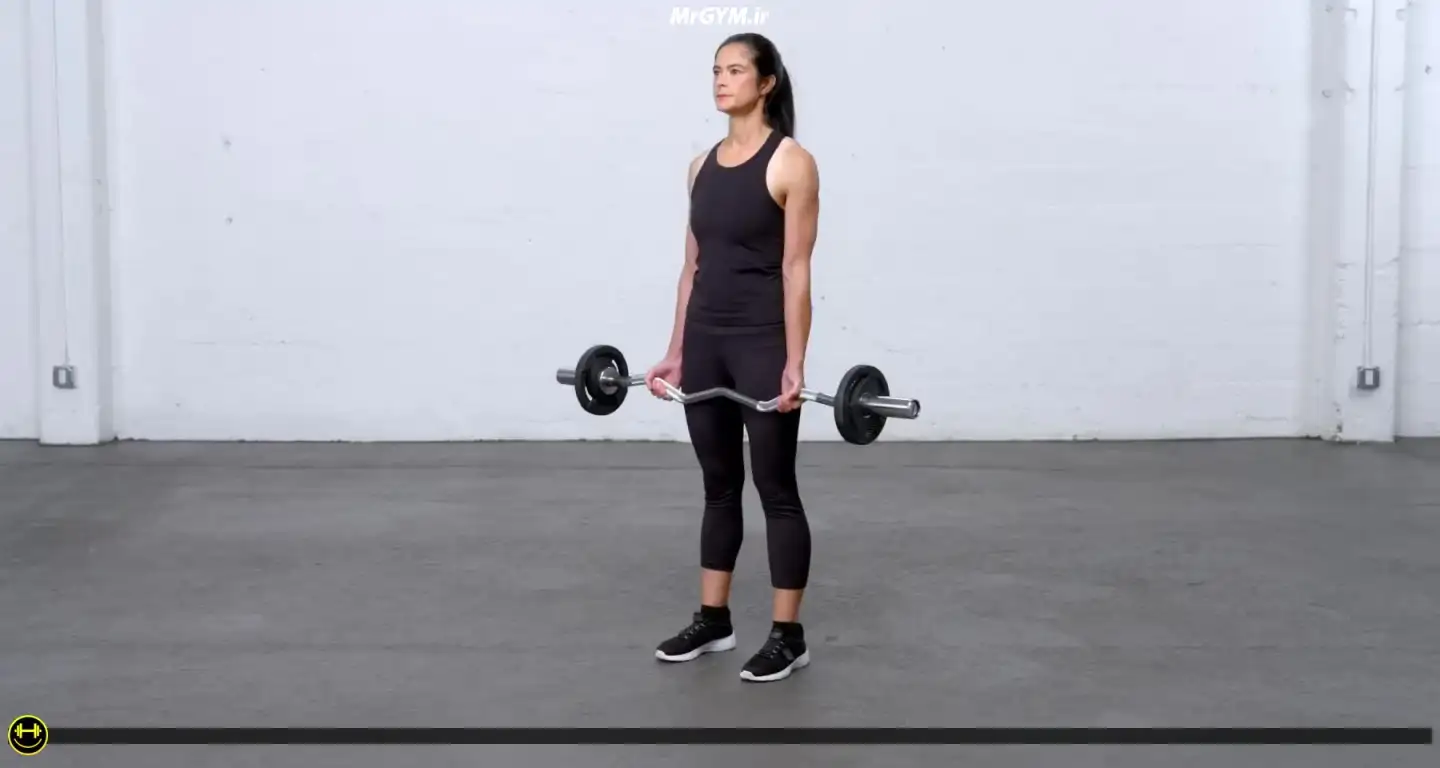 آموزش حرکت جلو بازو با هالتر EZ و مکث (EZ-Bar Pause Curl)
