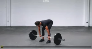 پاور کلین آویزان