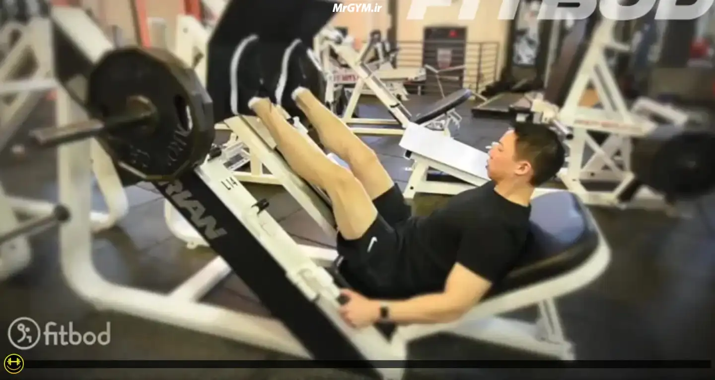 آموزش حرکت پرس پا (Leg Press)