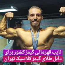 امیر کرمی