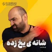 دکتر ارسلان گلشنی