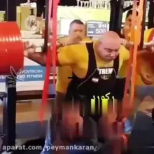 مجتبی ملکی