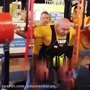 مجتبی ملکی، مربی بدنسازی ایلام