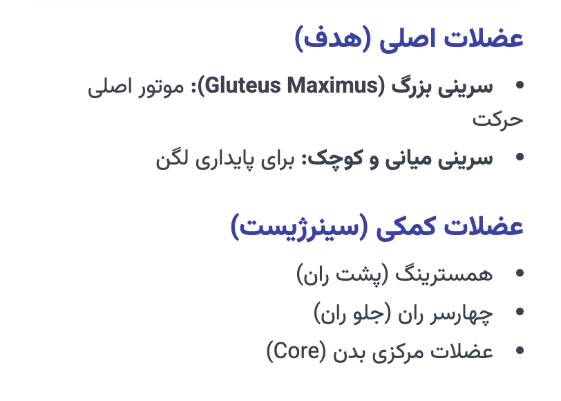 آناتومی حرکت: کدام عضلات در هیپ تراست درگیر میشوند؟