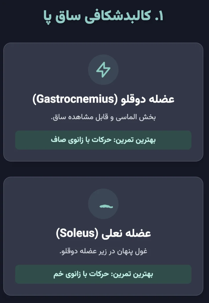 کالبدشکافی ساق پا: با عضلاتی که تمرین میدهید آشنا شوید