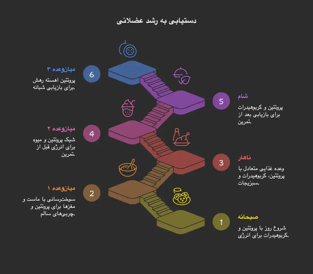 افزایش عضله